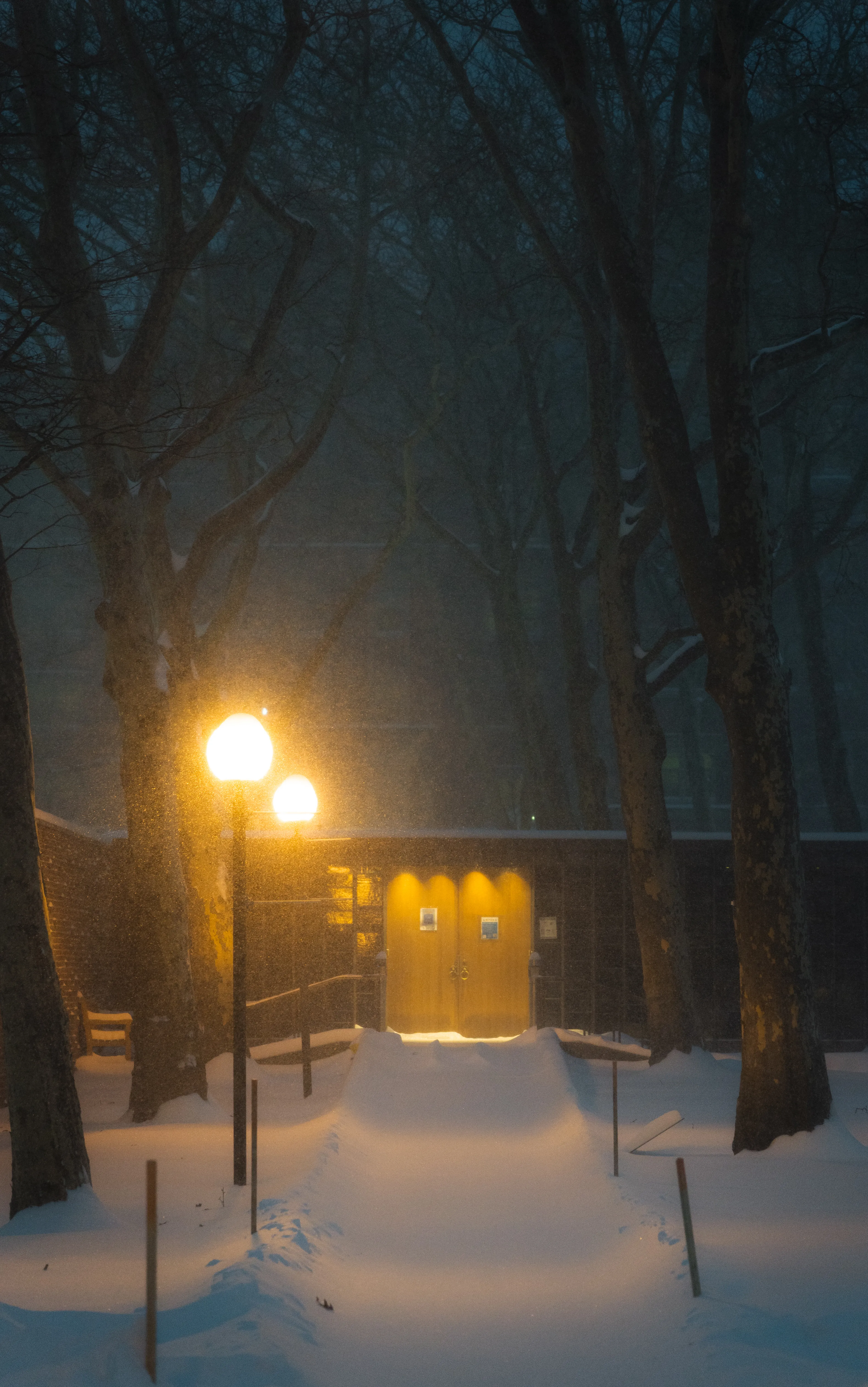 A Snowy Path