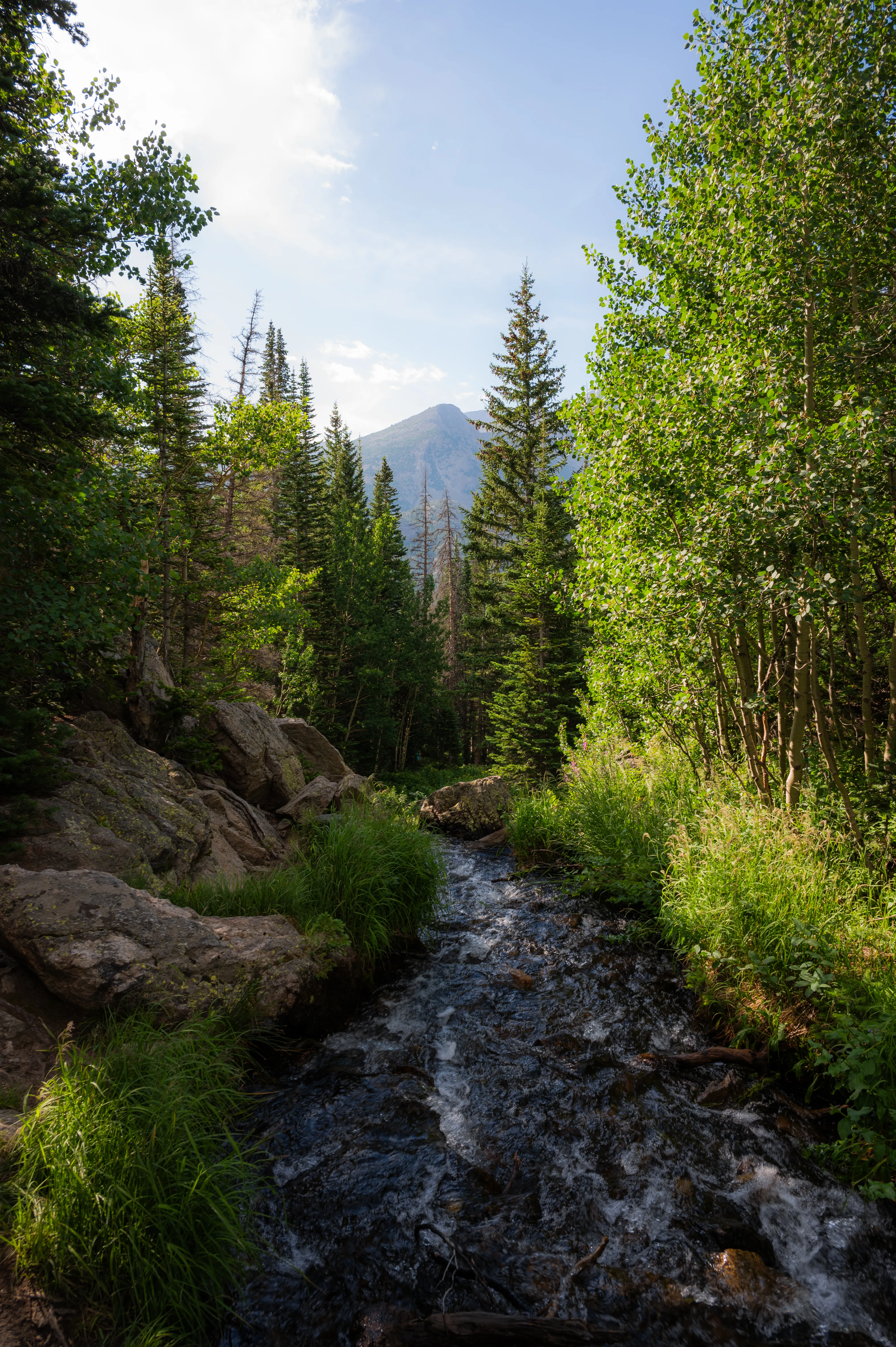 Alpine River