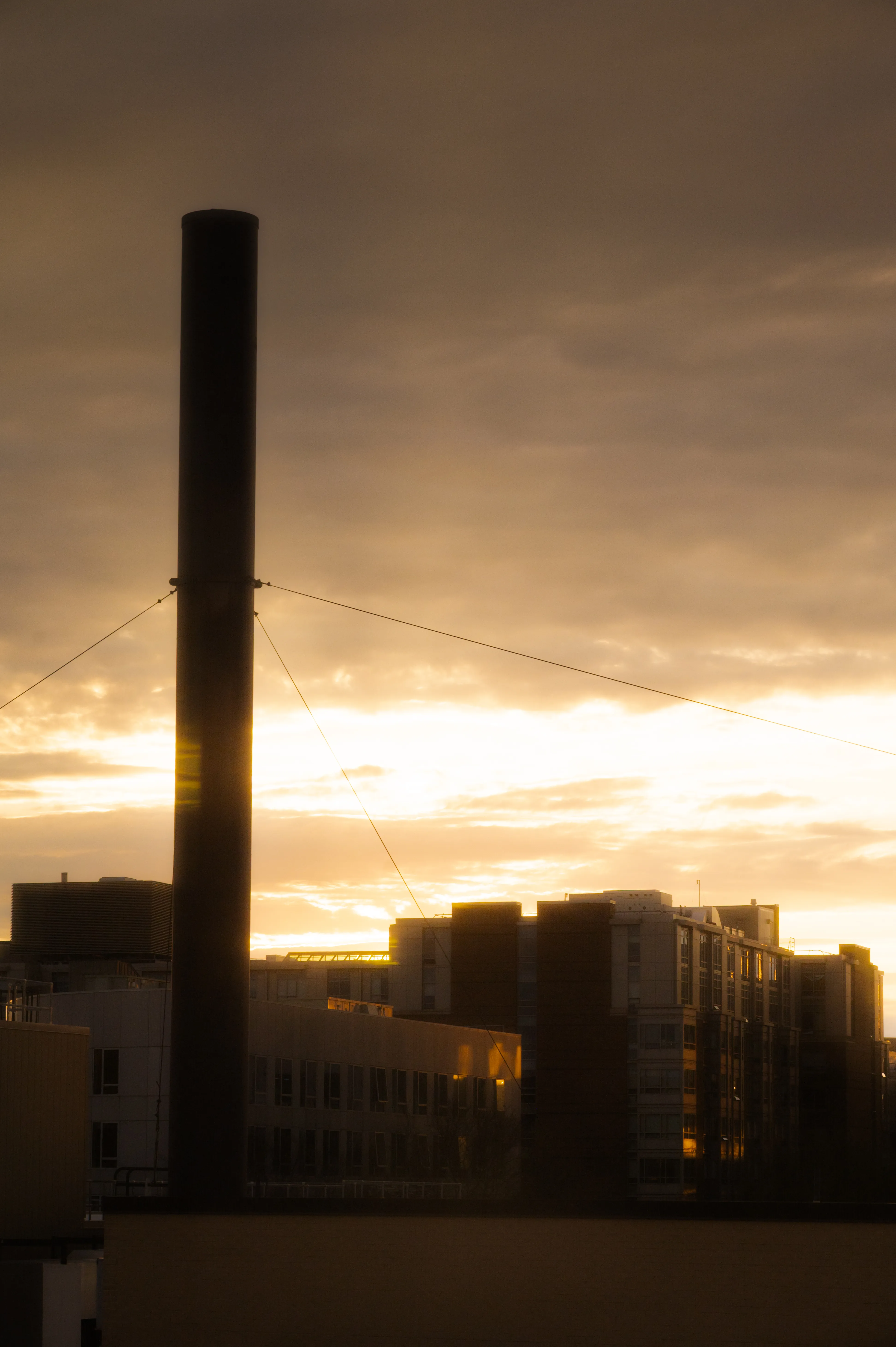 Bright Sunset