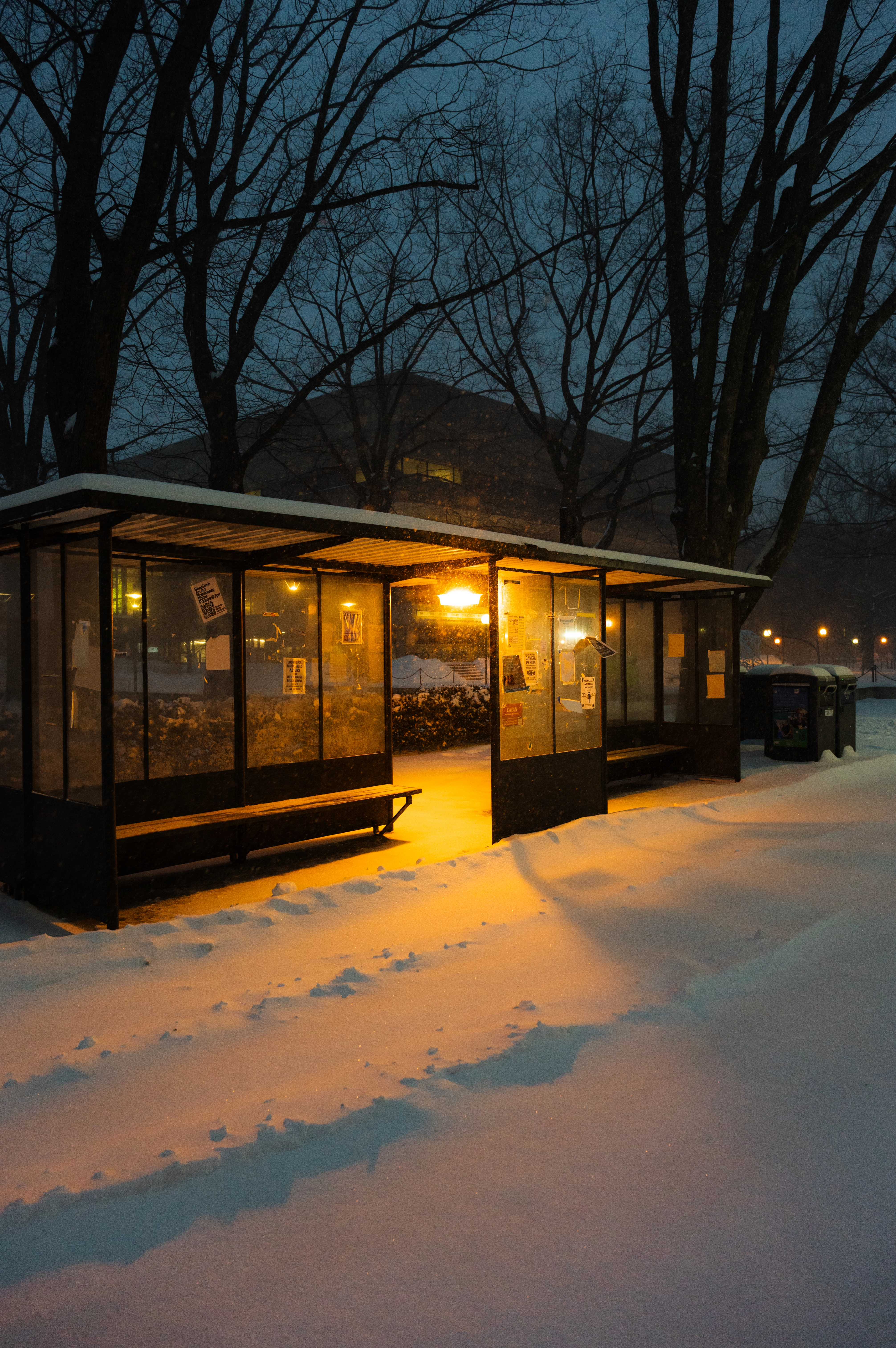Bus Stop