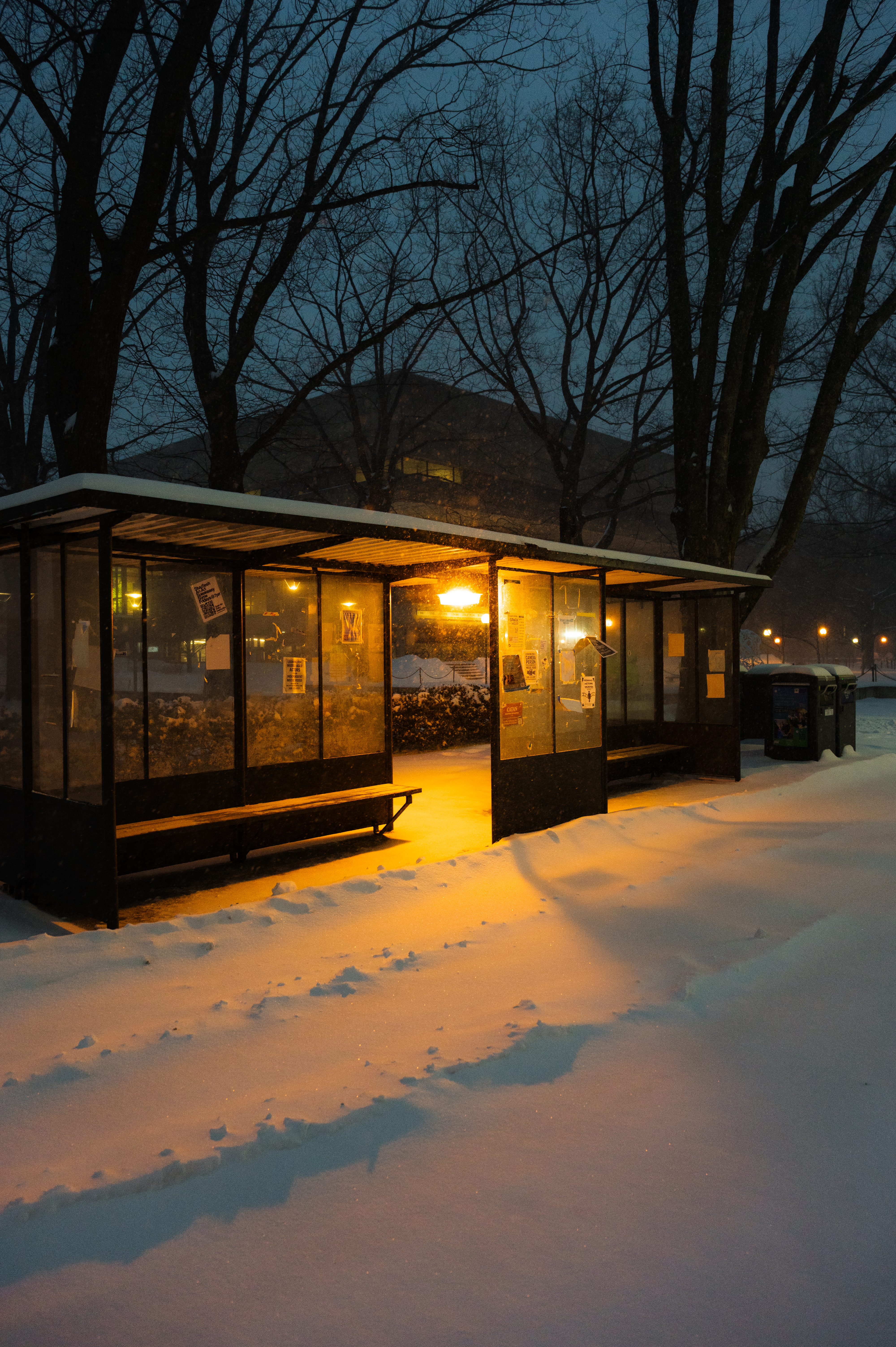 Bus Stop