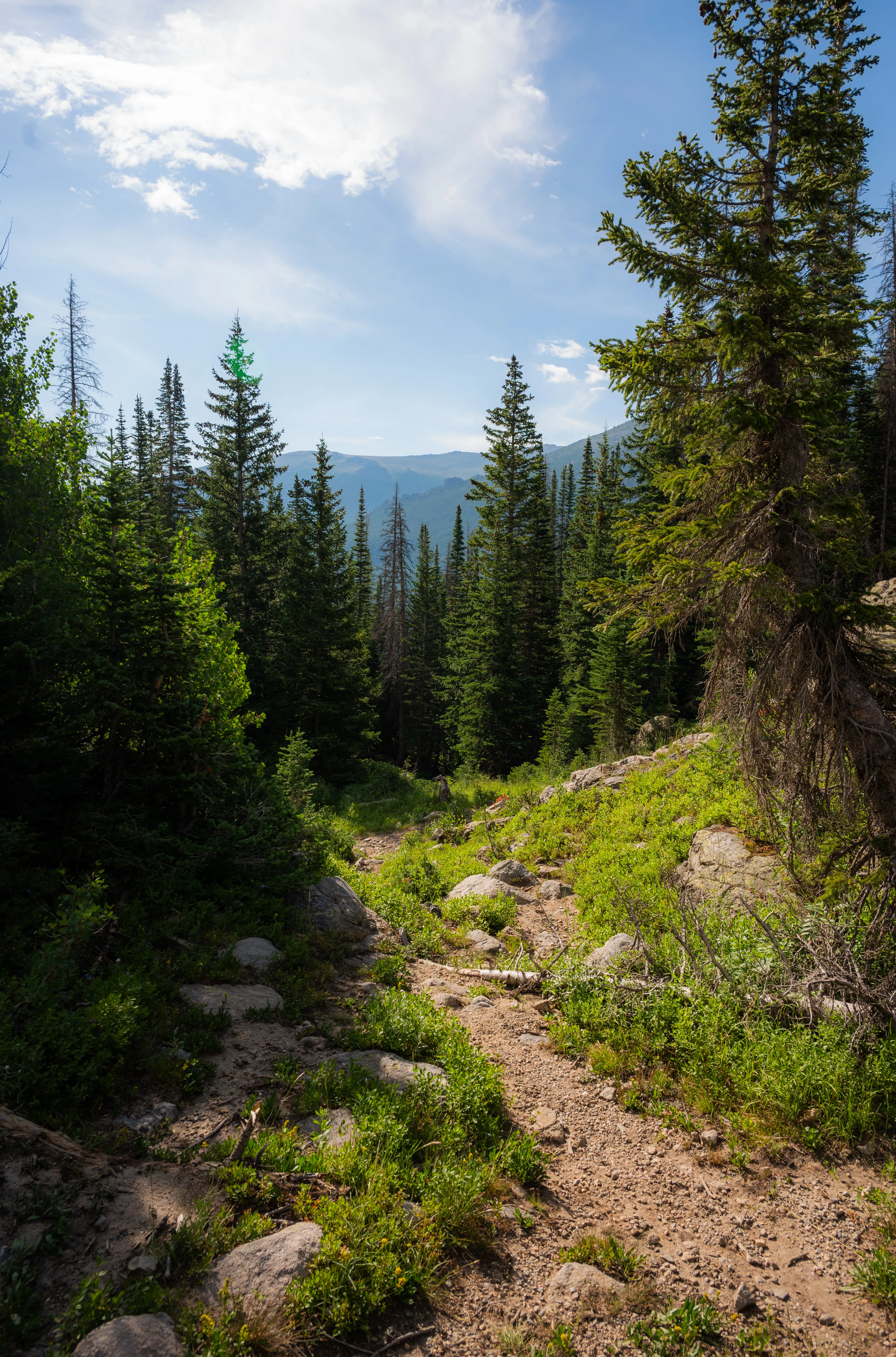 Downhill