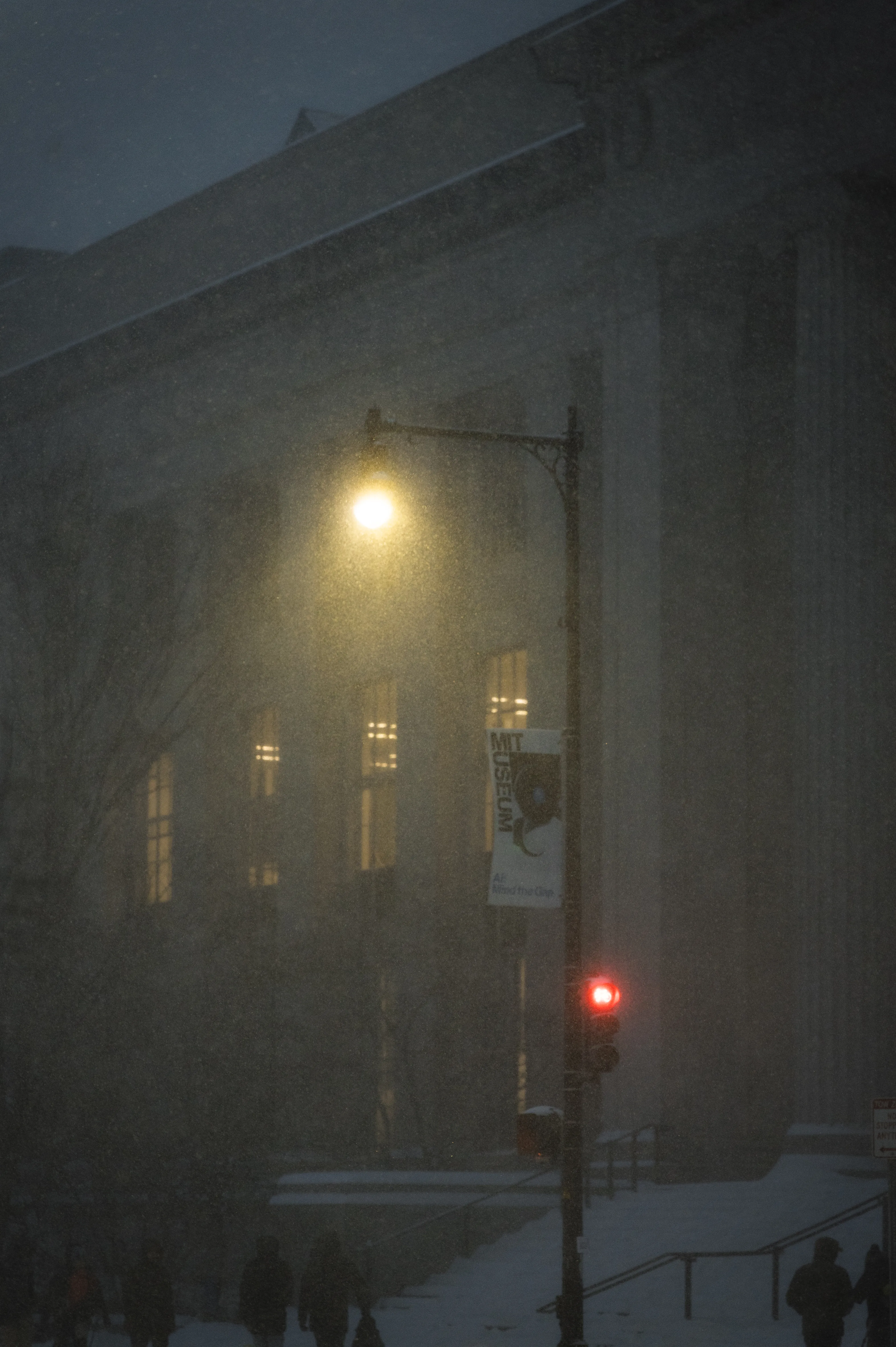 Evening Snow