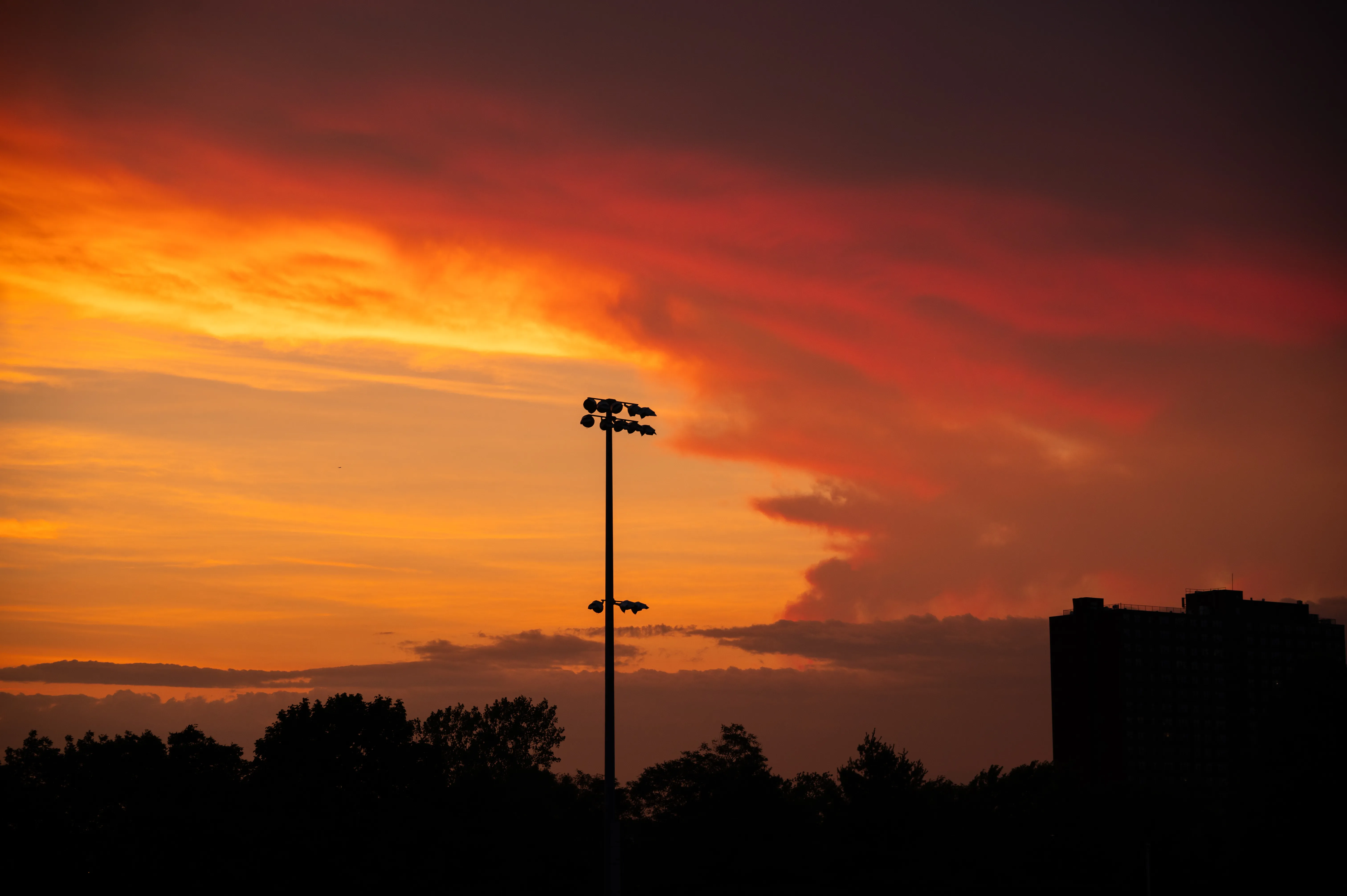 Field Sunset