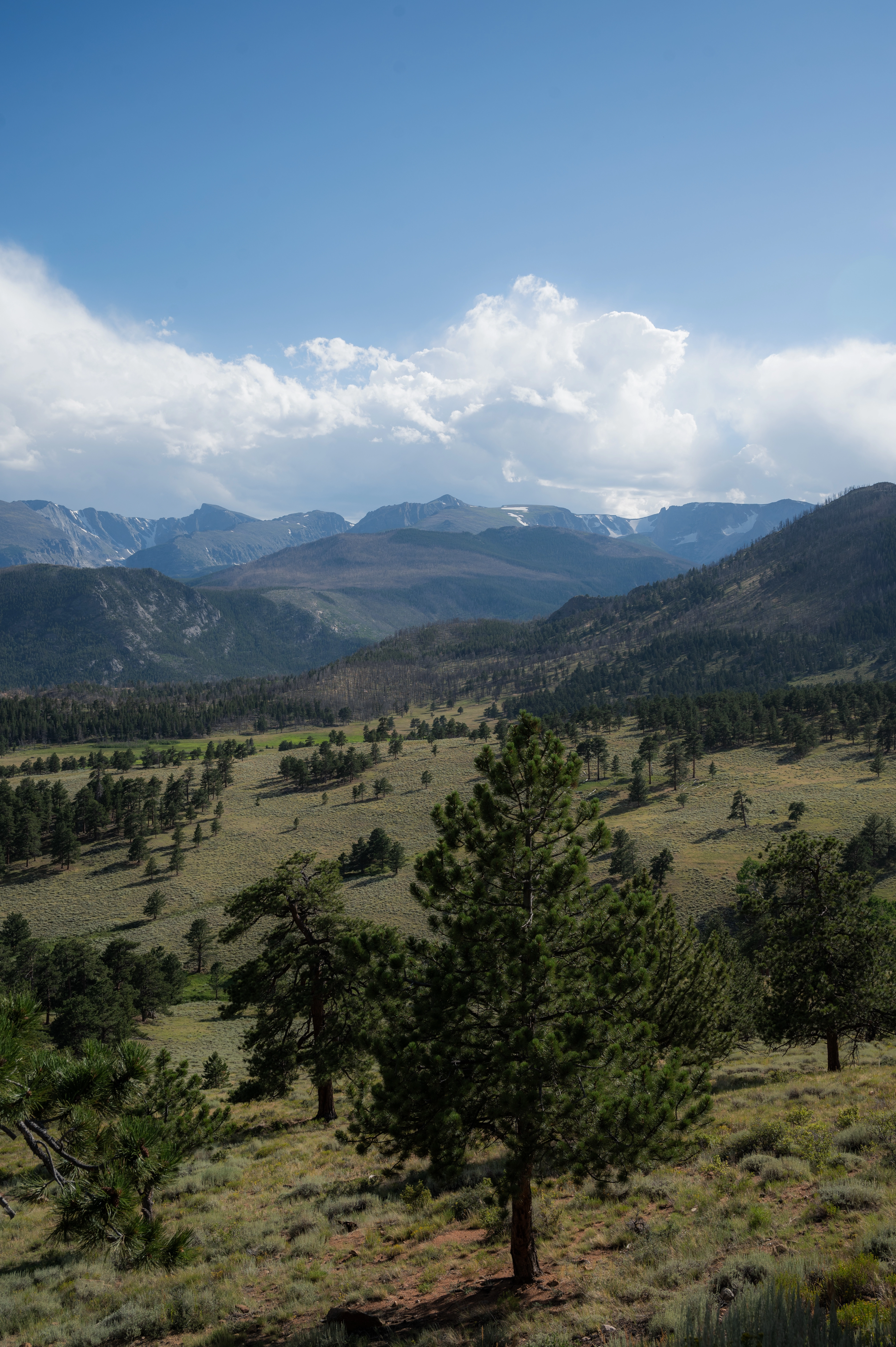 Mountains