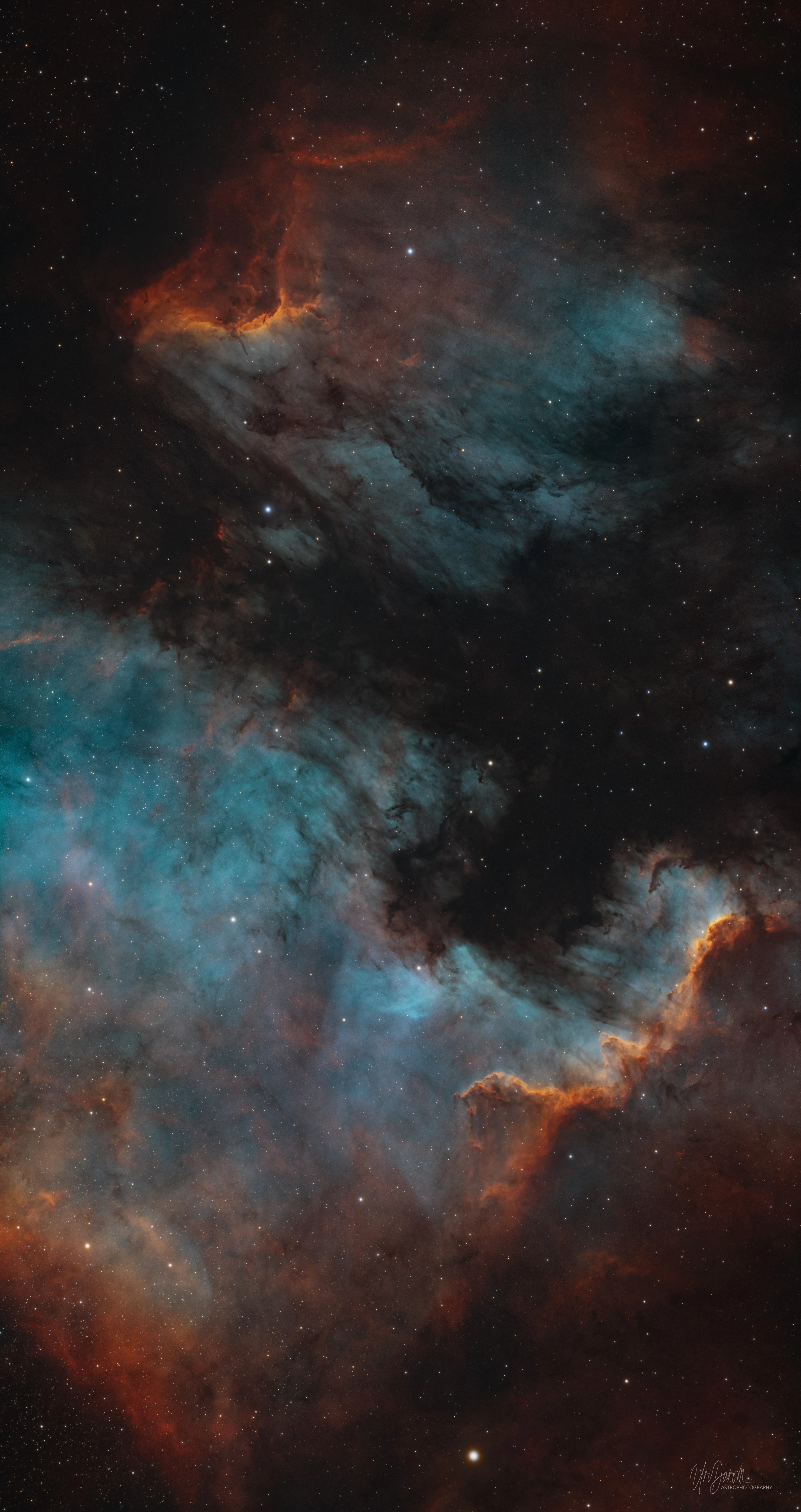 NGC7000, False Color
