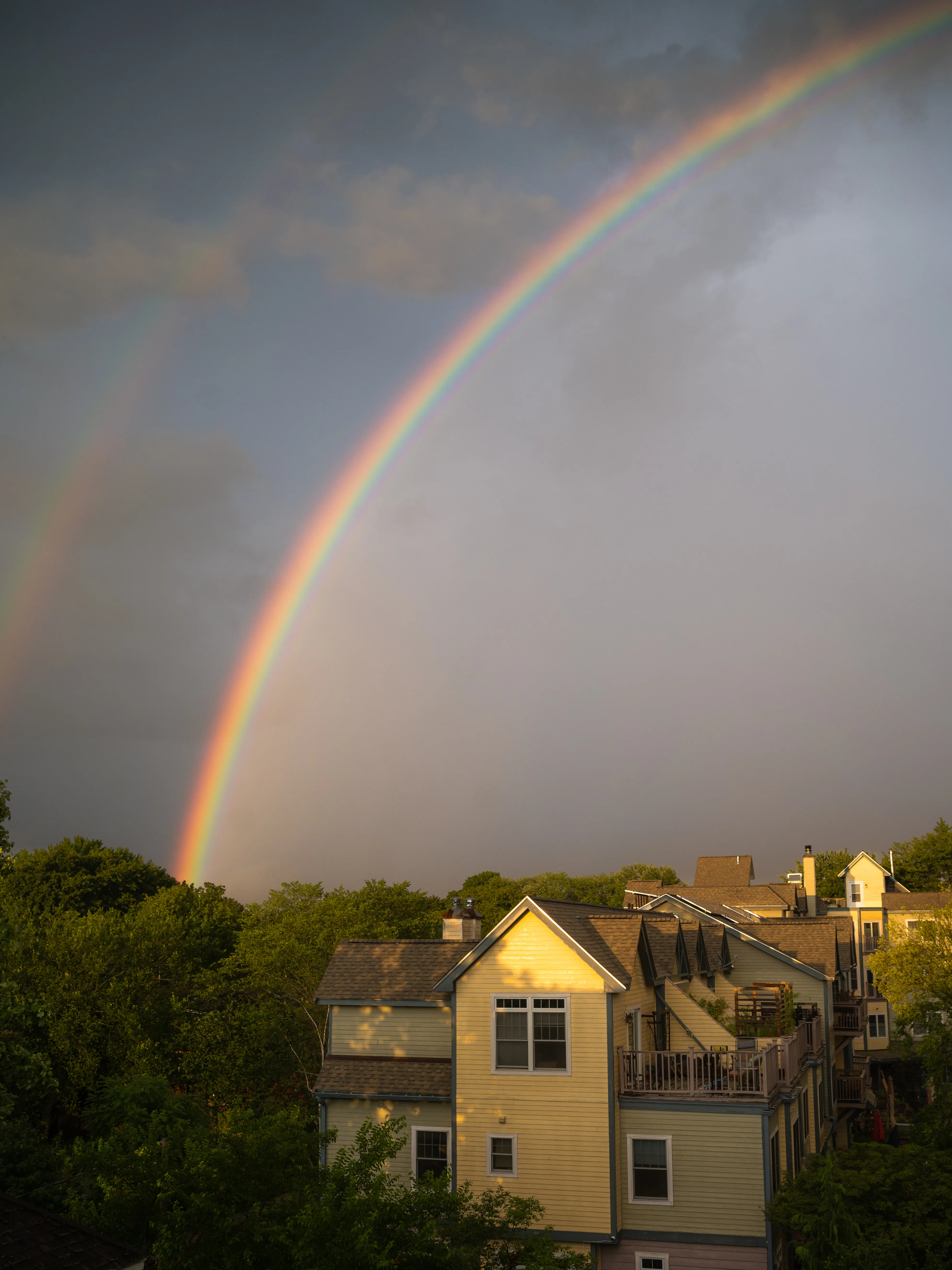 Rainbow
