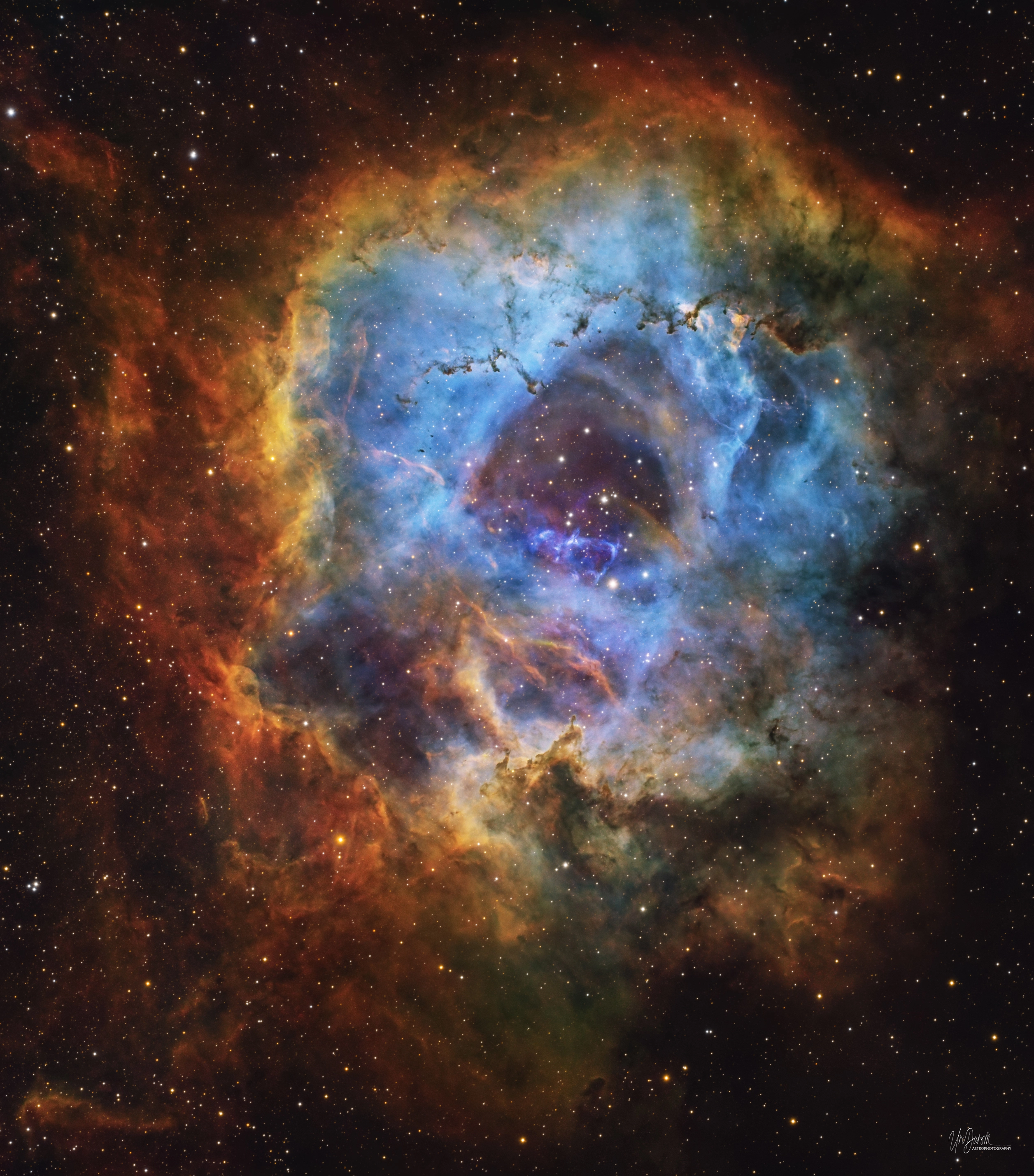 Rosette