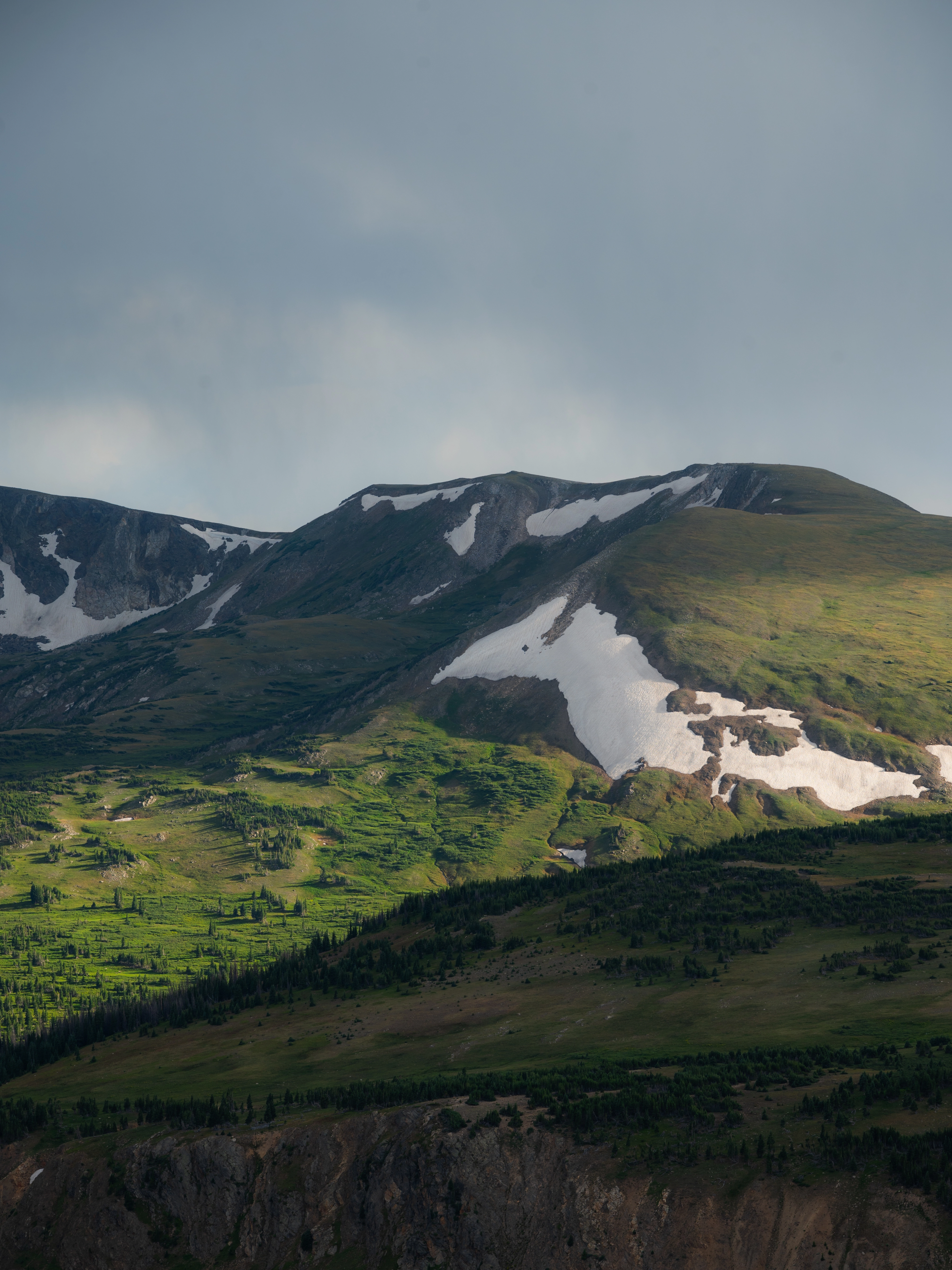 The Tundra