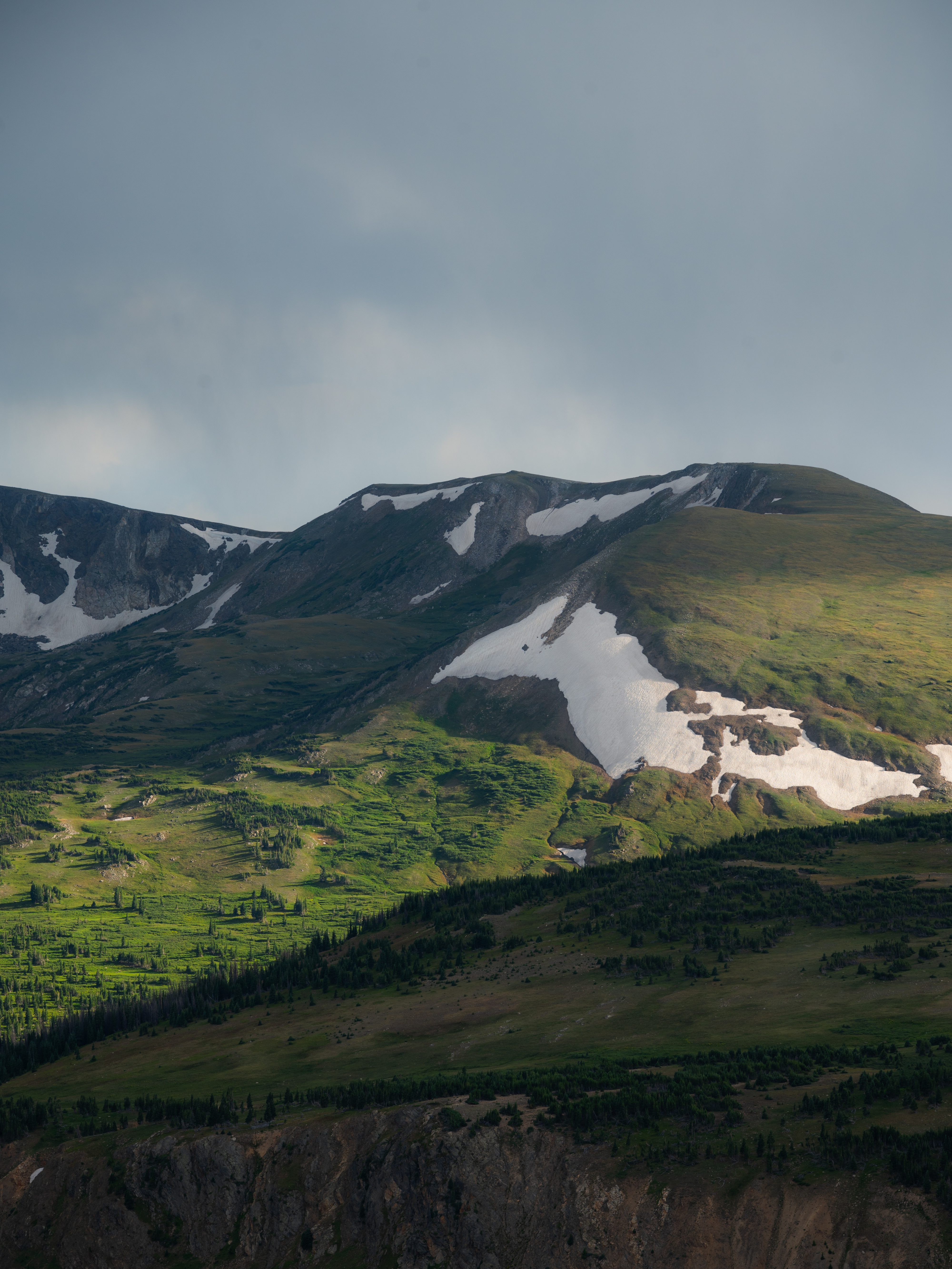 The Tundra