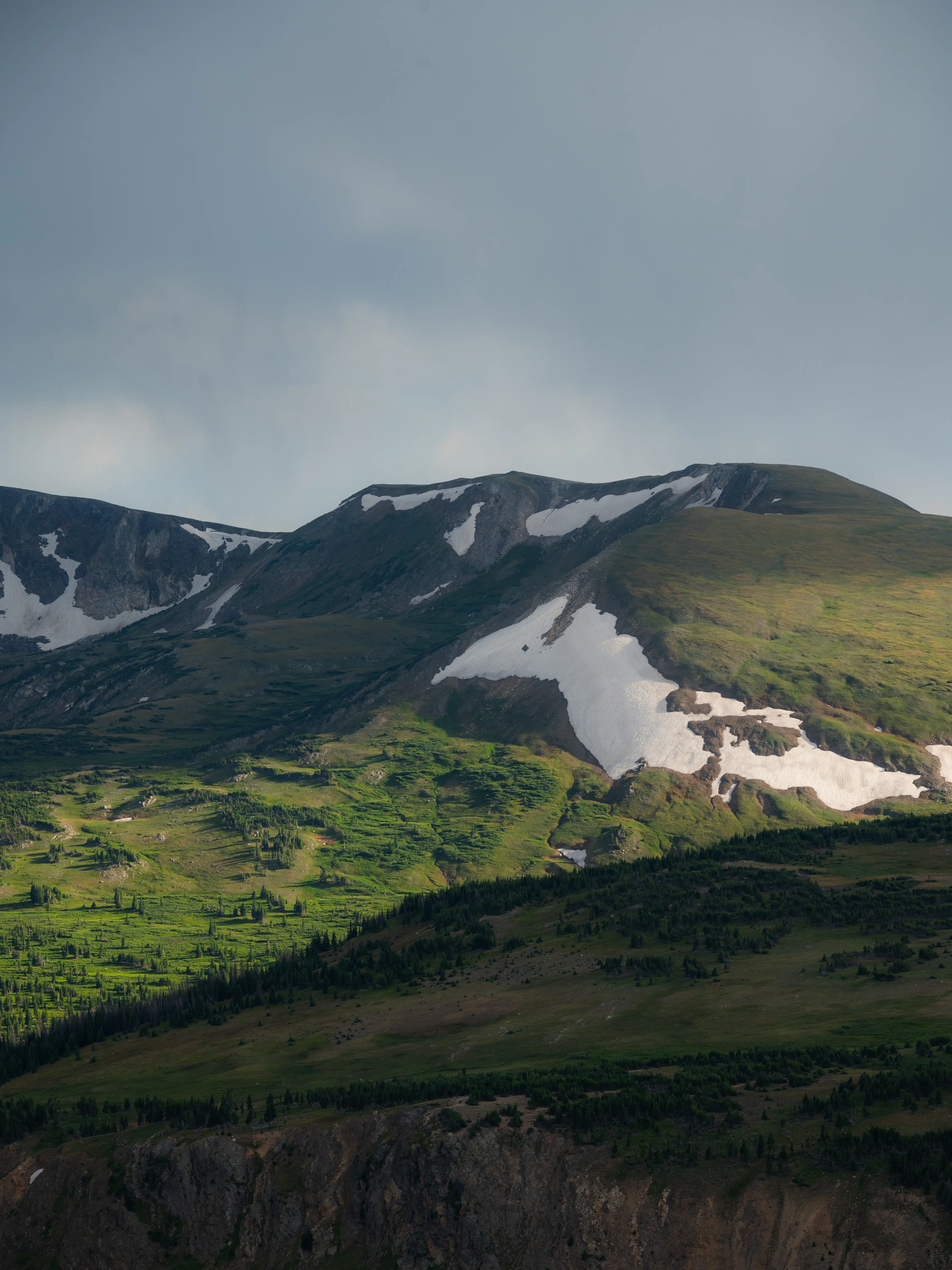 Trail Ridge Road 3