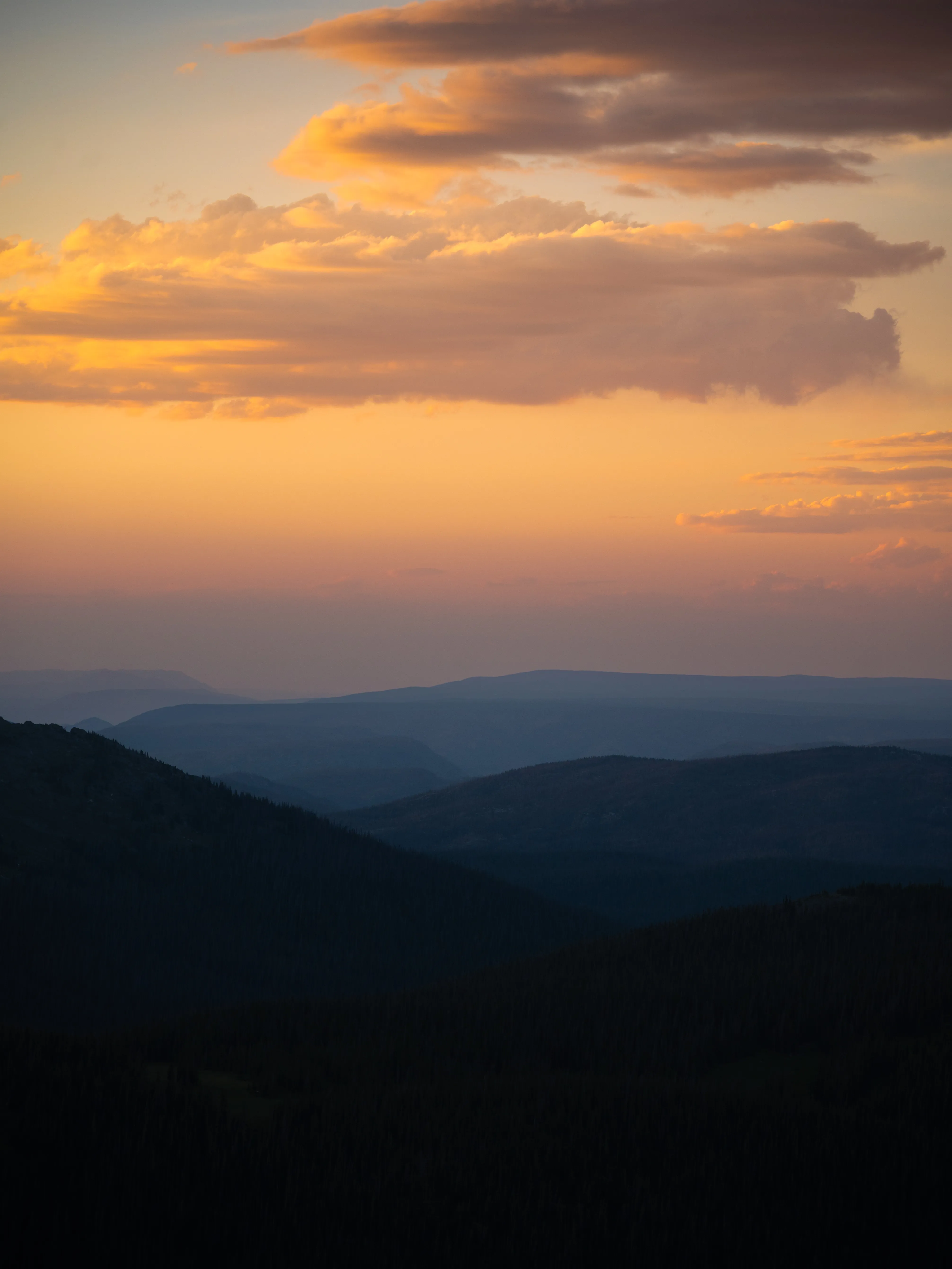 Trail Ridge Road 9