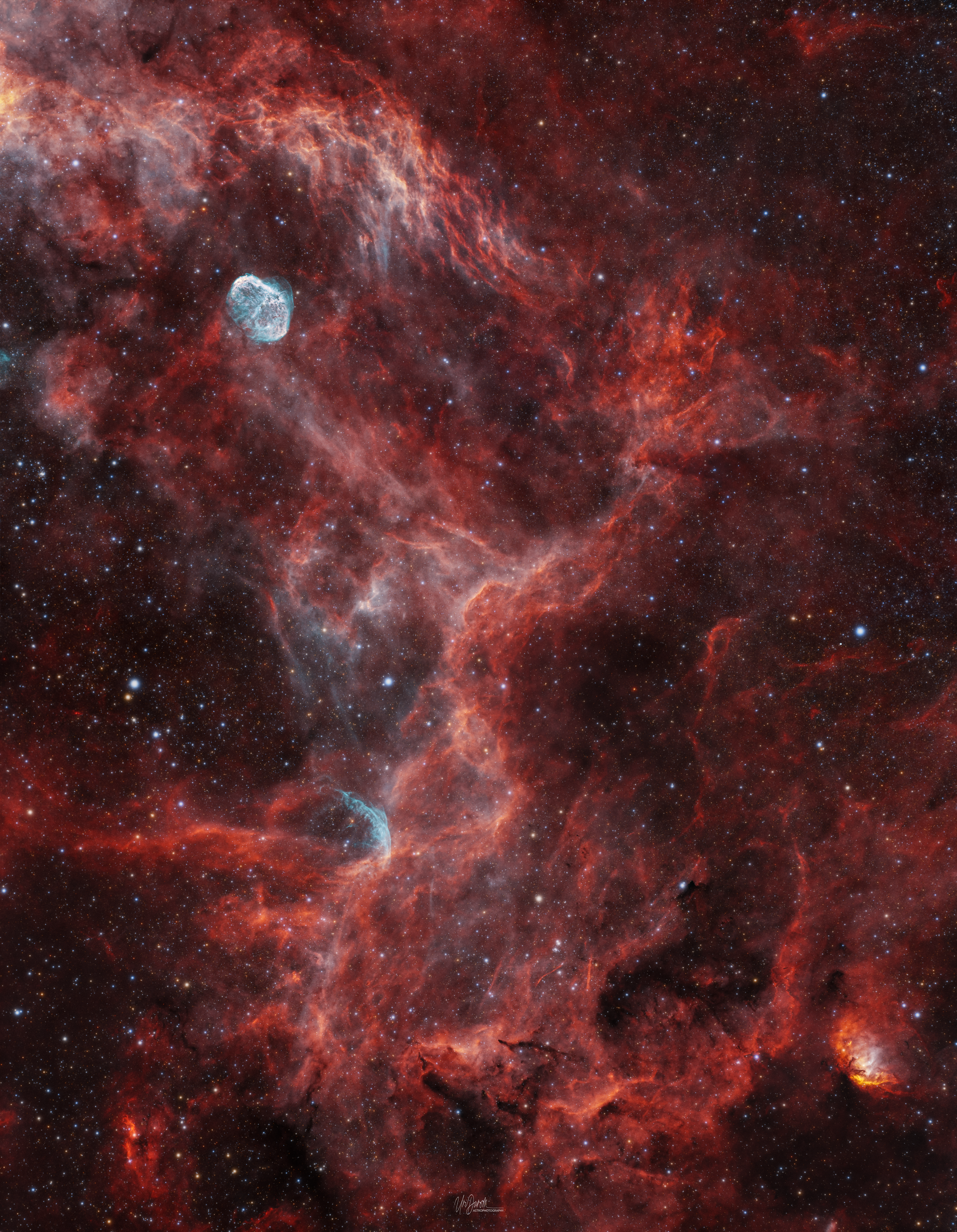 Cygnus (Crescent to Tulip)