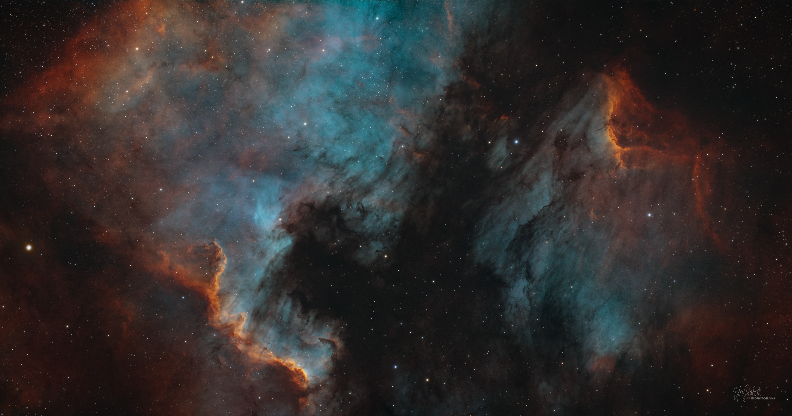 The North America and Pelican Nebulae